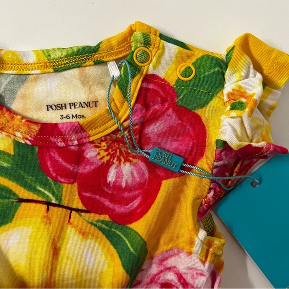 🍋NWT Posh Peanut Annika Ruffled Cap Sleeve Twirl Skirt Bodysuit size 3-6 months - Picture 2 of 6